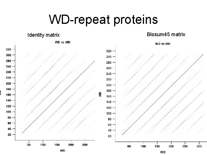 WD-repeat proteins Identity matrix Blosum 45 matrix 