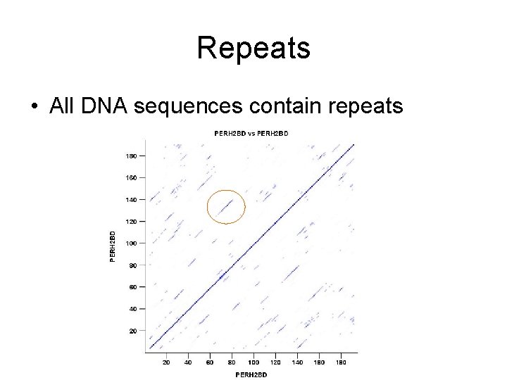 Repeats • All DNA sequences contain repeats 