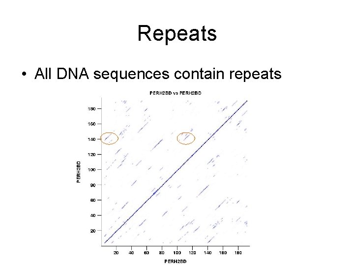 Repeats • All DNA sequences contain repeats 
