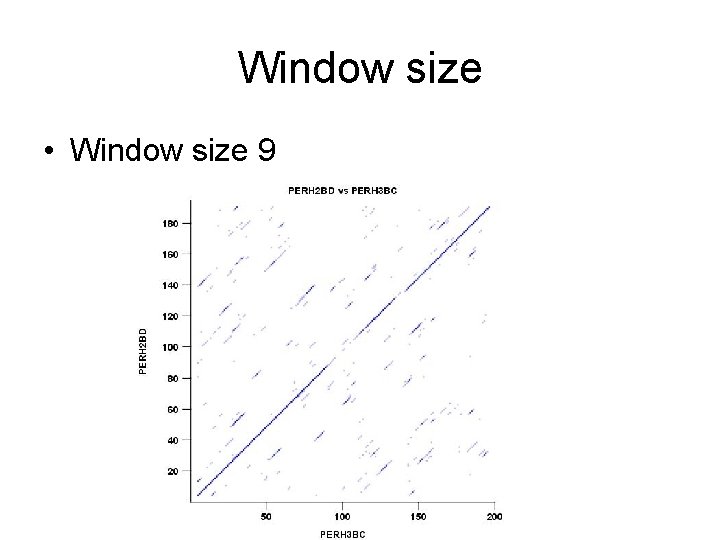 Window size • Window size 9 