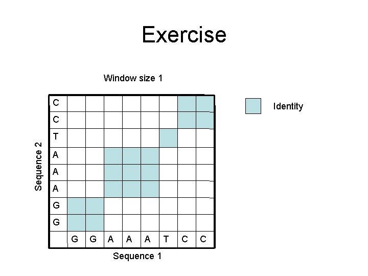 Exercise Window size 1 C Identity C Sequence 2 T A A A G