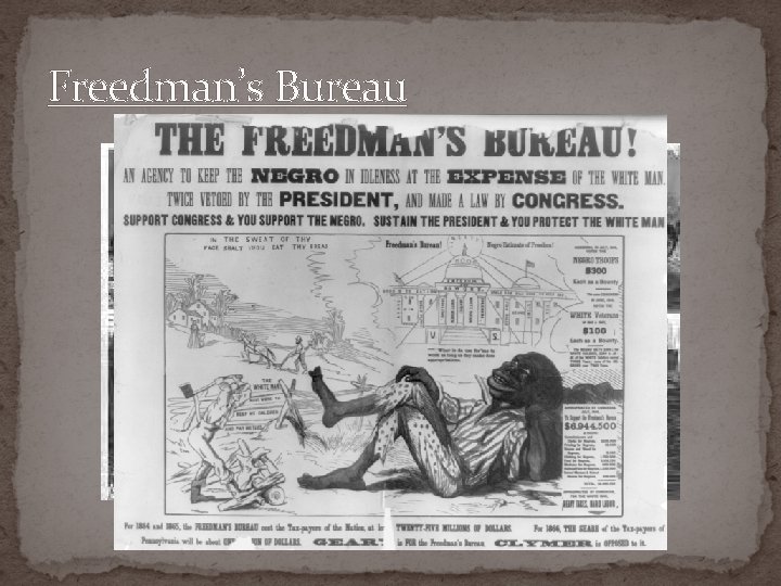 Freedman’s Bureau 