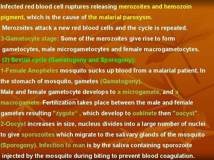 Infected red blood cell ruptures releasing merozoites and hemozoin pigment, which is the cause