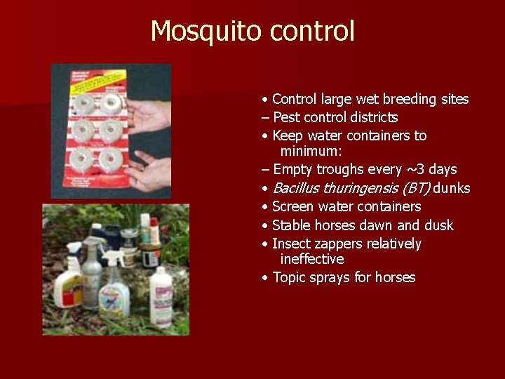 Mosquito control • Control large wet breeding sites – Pest control districts • Keep
