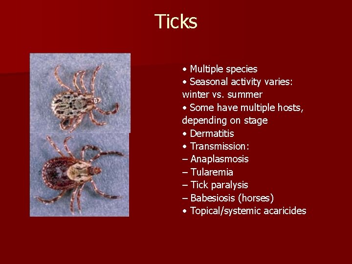 Ticks • Multiple species • Seasonal activity varies: winter vs. summer • Some have