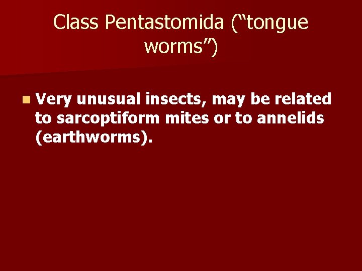 Class Pentastomida (“tongue worms”) n Very unusual insects, may be related to sarcoptiform mites