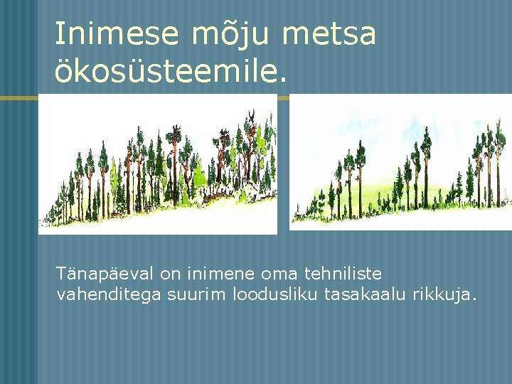 Inimese mõju metsa ökosüsteemile. Tänapäeval on inimene oma tehniliste vahenditega suurim loodusliku tasakaalu rikkuja.