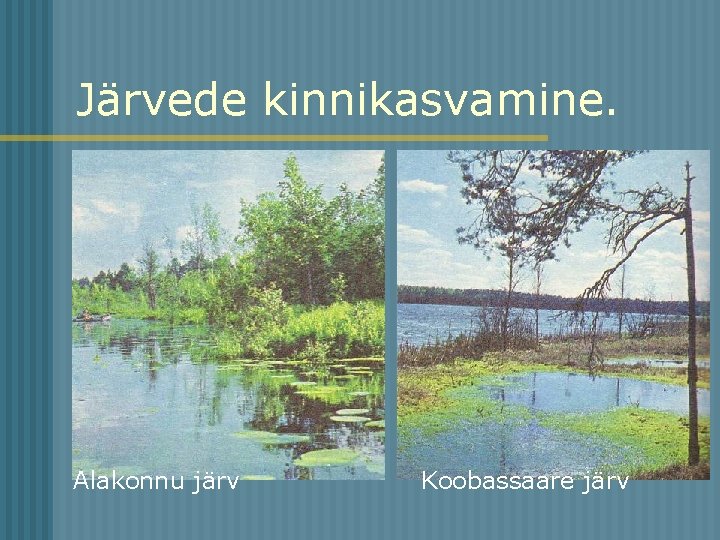 Järvede kinnikasvamine. Alakonnu järv Koobassaare järv 