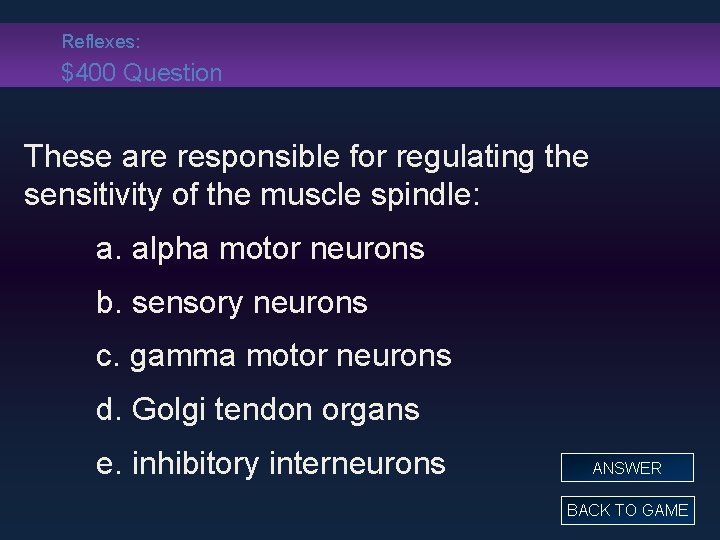 Reflexes: $400 Question These are responsible for regulating the sensitivity of the muscle spindle:
