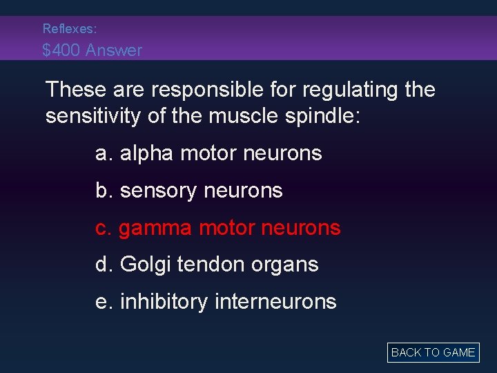 Reflexes: $400 Answer These are responsible for regulating the sensitivity of the muscle spindle: