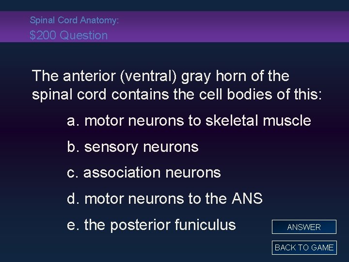 Spinal Cord Anatomy: $200 Question The anterior (ventral) gray horn of the spinal cord