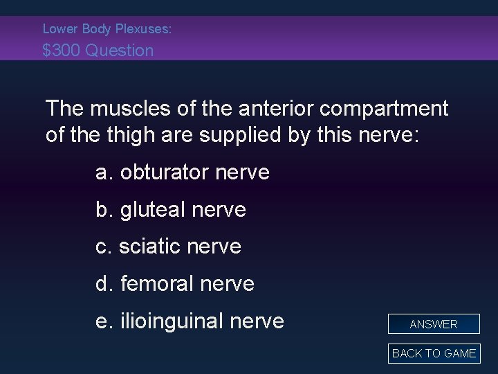 Lower Body Plexuses: $300 Question The muscles of the anterior compartment of the thigh