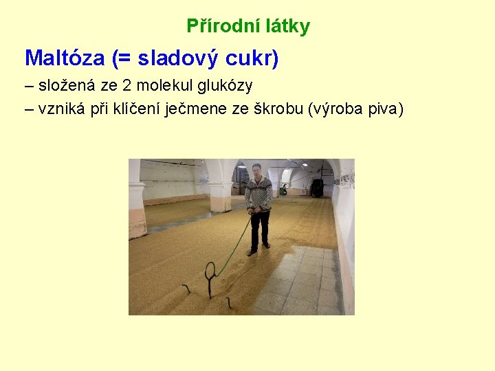 Přírodní látky Maltóza (= sladový cukr) – složená ze 2 molekul glukózy – vzniká