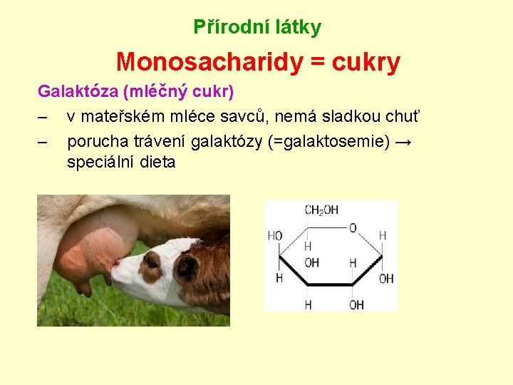 Přírodní látky Monosacharidy = cukry Galaktóza (mléčný cukr) – v mateřském mléce savců, nemá