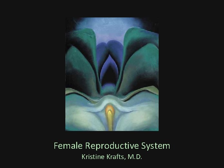 Female Reproductive System Kristine Krafts, M. D. 