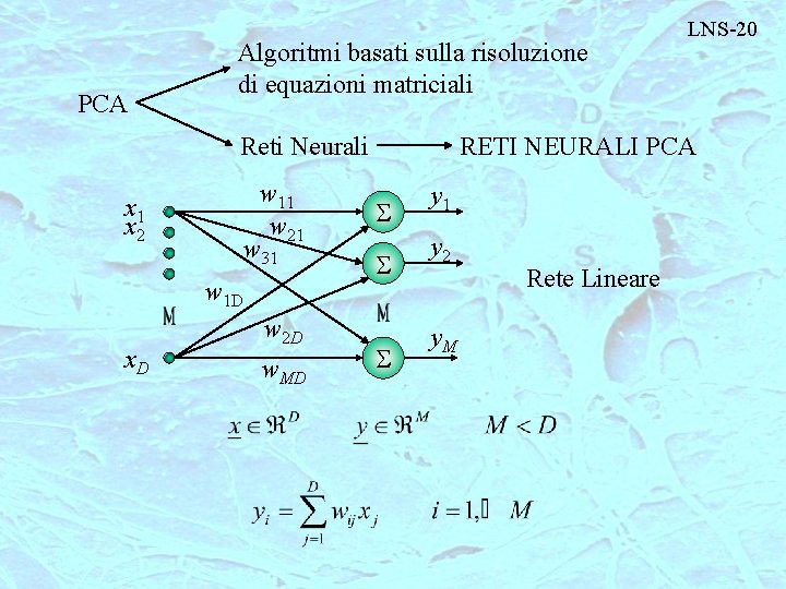 PCA Algoritmi basati sulla risoluzione di equazioni matriciali Reti Neurali x 1 x 2