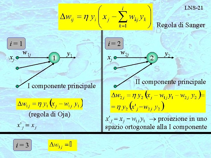 LNS-21 Regola di Sanger i=1 w 1 j xj 1 y 1 I componente