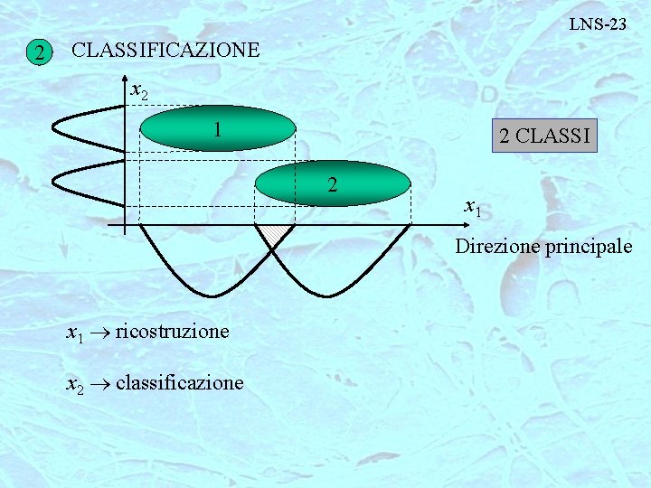 LNS-23 2 CLASSIFICAZIONE x 2 1 2 CLASSI 2 x 1 Direzione principale x