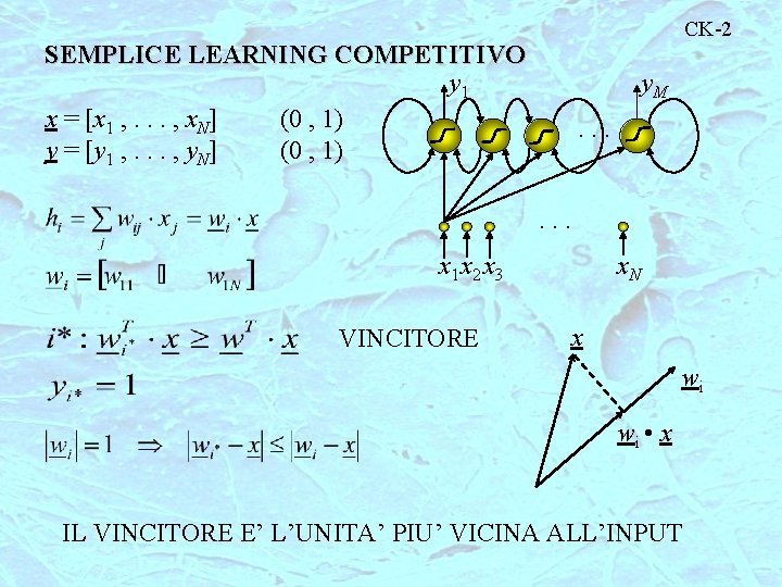 CK-2 SEMPLICE LEARNING COMPETITIVO y 1 x = [x 1 , . . .