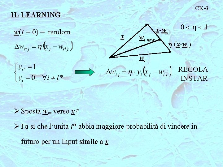 CK-3 IL LEARNING w(t = 0) = random x wi new x-wi 0<h<1 h