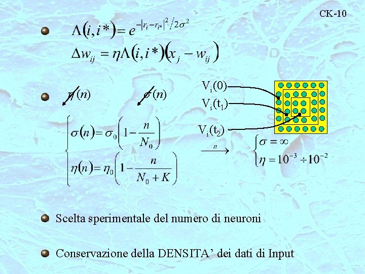 CK-10 h (n) s (n) Vi(0) Vi(t 1) Vi(t 2) Scelta sperimentale del numero