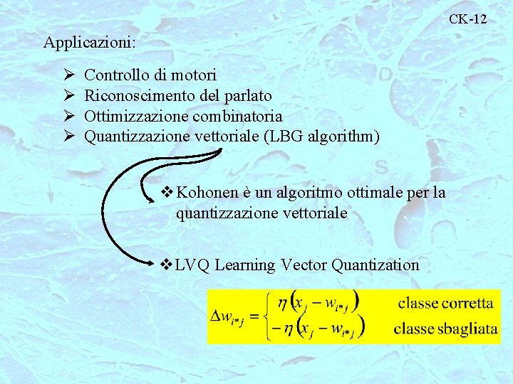 CK-12 Applicazioni: Ø Ø Controllo di motori Riconoscimento del parlato Ottimizzazione combinatoria Quantizzazione vettoriale