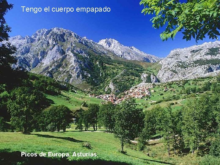 Tengo el cuerpo empapado Picos de Europa, Asturias 