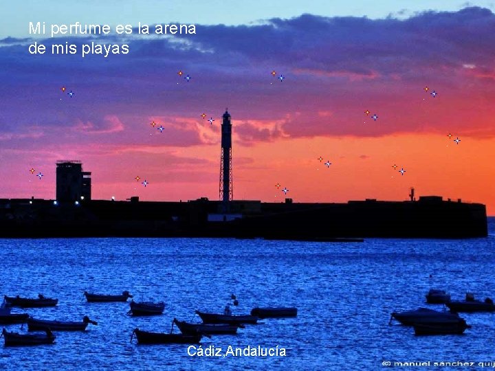 Mi perfume es la arena de mis playas Cádiz, Andalucía 