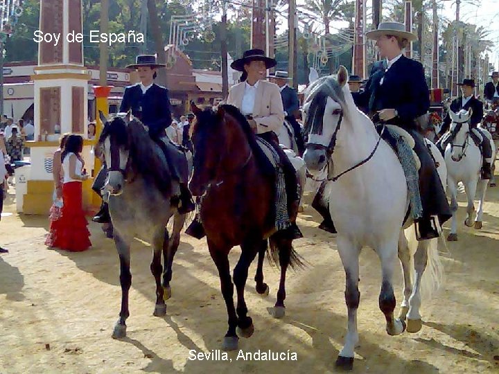 Soy de España Sevilla, Andalucía 