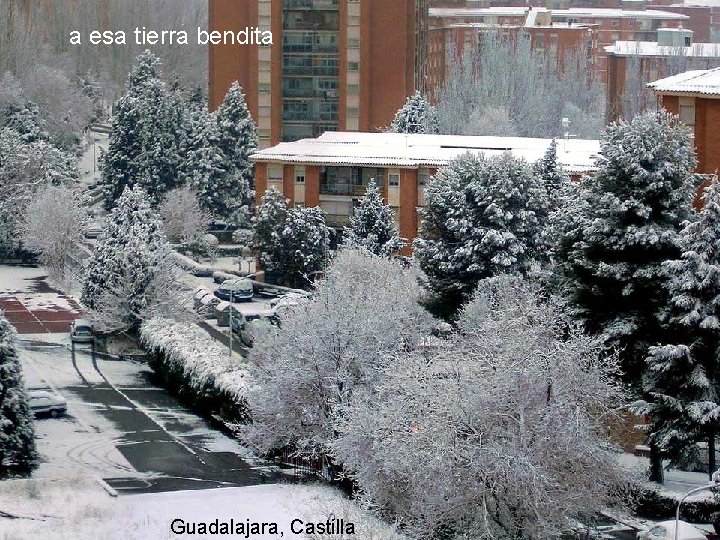 a esa tierra bendita Guadalajara, Castilla 