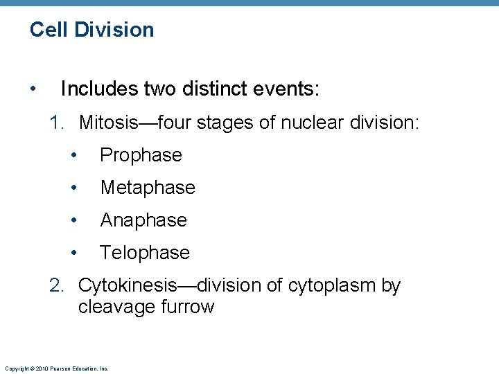 Cell Division • Includes two distinct events: 1. Mitosis—four stages of nuclear division: •