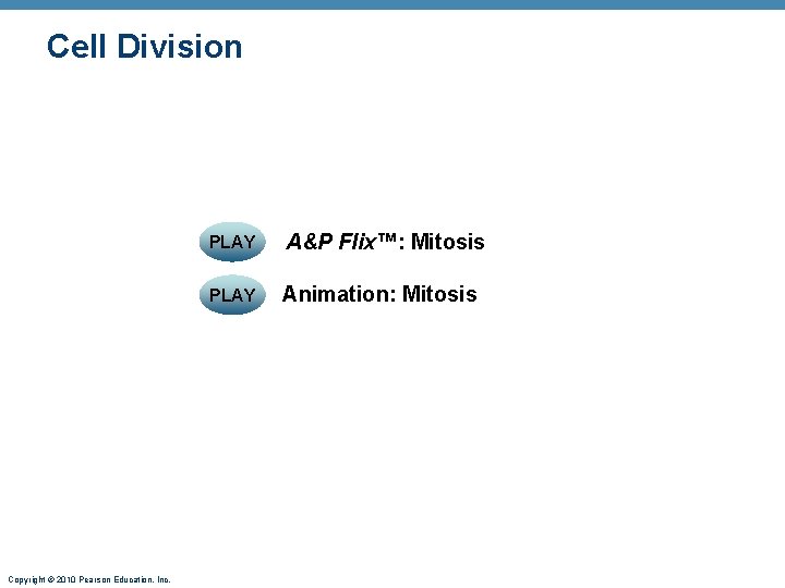 Cell Division Copyright © 2010 Pearson Education, Inc. PLAY A&P Flix™: Mitosis PLAY Animation: