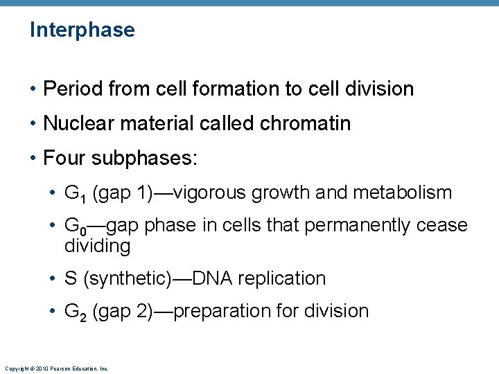 Interphase • Period from cell formation to cell division • Nuclear material called chromatin