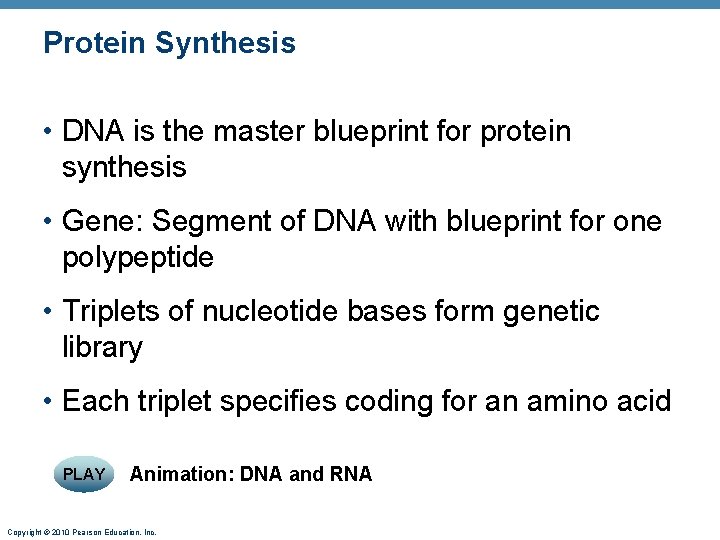 Protein Synthesis • DNA is the master blueprint for protein synthesis • Gene: Segment