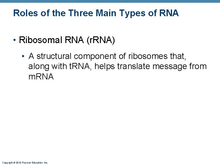 Roles of the Three Main Types of RNA • Ribosomal RNA (r. RNA) •