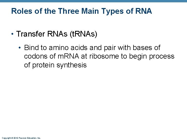 Roles of the Three Main Types of RNA • Transfer RNAs (t. RNAs) •