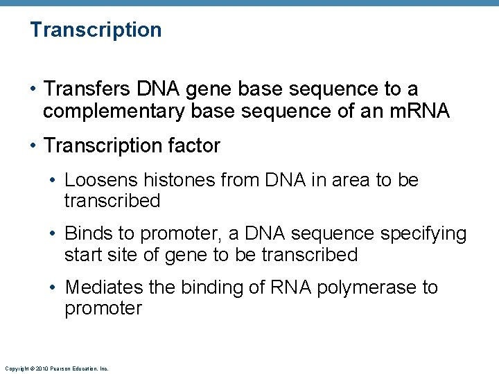 Transcription • Transfers DNA gene base sequence to a complementary base sequence of an