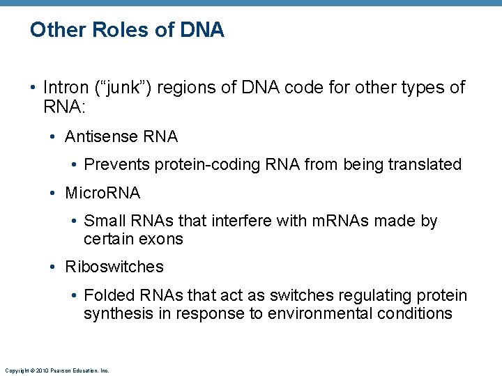 Other Roles of DNA • Intron (“junk”) regions of DNA code for other types