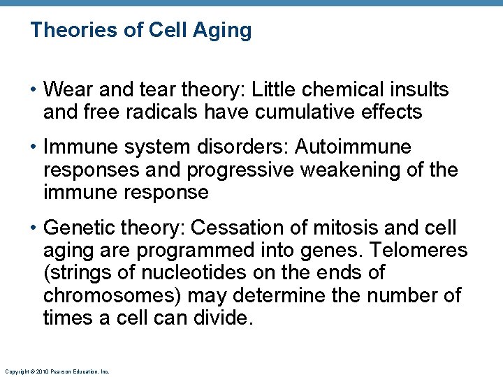 Theories of Cell Aging • Wear and tear theory: Little chemical insults and free