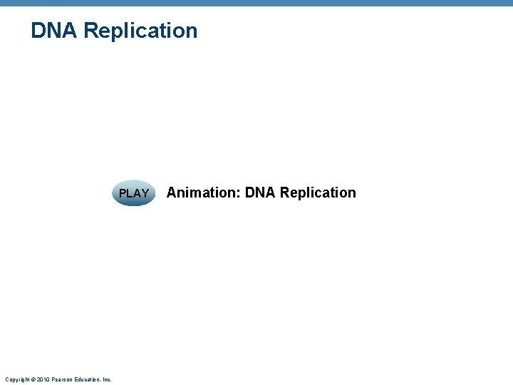 DNA Replication PLAY Copyright © 2010 Pearson Education, Inc. Animation: DNA Replication 