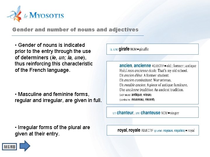 Gender and number of nouns and adjectives • Gender of nouns is indicated prior