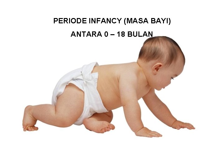 PERIODE INFANCY (MASA BAYI) ANTARA 0 – 18 BULAN 