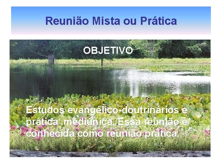 Reunião Mista ou Prática OBJETIVO Estudos evangélico-doutrinários e prática mediúnica. Essa reunião é conhecida Reunião Mista ou Prática OBJETIVO Estudos evangélico-doutrinários e prática mediúnica. Essa reunião é conhecida