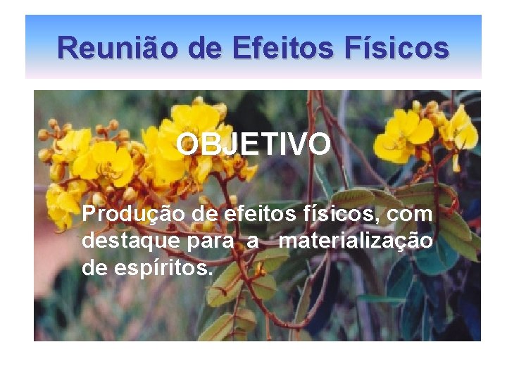 Reunião de Efeitos Físicos OBJETIVO Produção de efeitos físicos, com destaque para a materialização Reunião de Efeitos Físicos OBJETIVO Produção de efeitos físicos, com destaque para a materialização