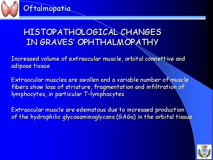 Oftalmopatia HISTOPATHOLOGICAL CHANGES IN GRAVES’ OPHTHALMOPATHY Increased volume of extraocular muscle, orbital connettive and