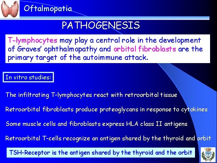 Oftalmopatia PATHOGENESIS T-lymphocytes may play a central role in the development of Graves’ ophthalmopathy
