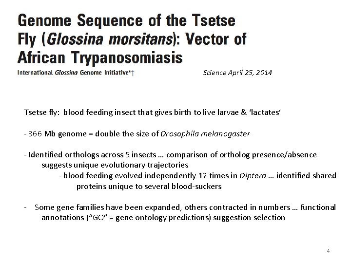 Science April 25, 2014 Tsetse fly: blood feeding insect that gives birth to live Science April 25, 2014 Tsetse fly: blood feeding insect that gives birth to live