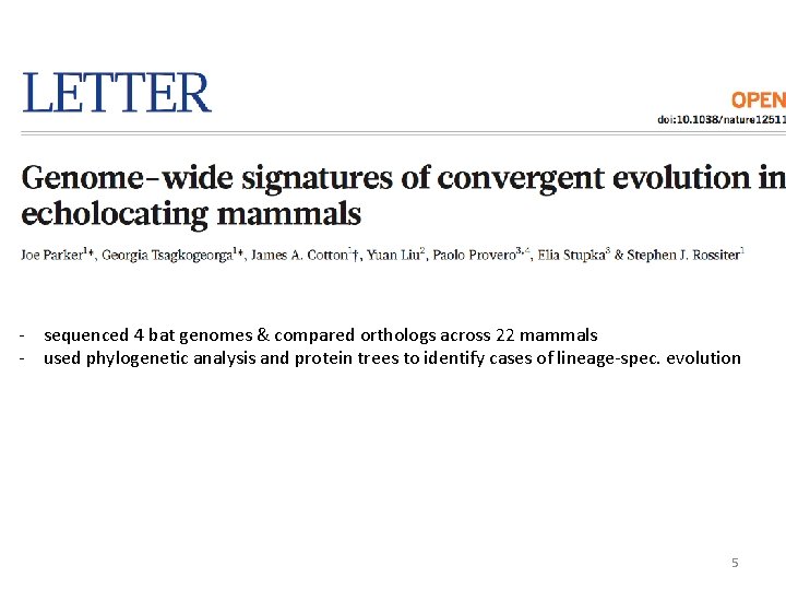 - sequenced 4 bat genomes & compared orthologs across 22 mammals - used phylogenetic - sequenced 4 bat genomes & compared orthologs across 22 mammals - used phylogenetic