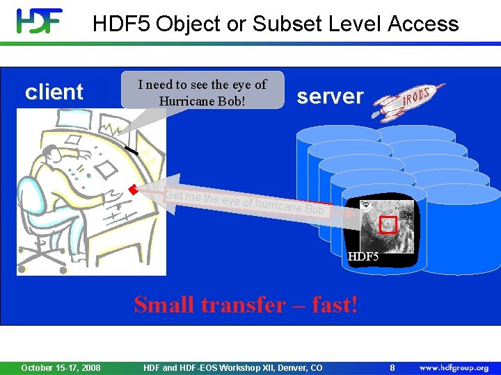 HDF 5 Object or Subset Level Access client I need to see the eye