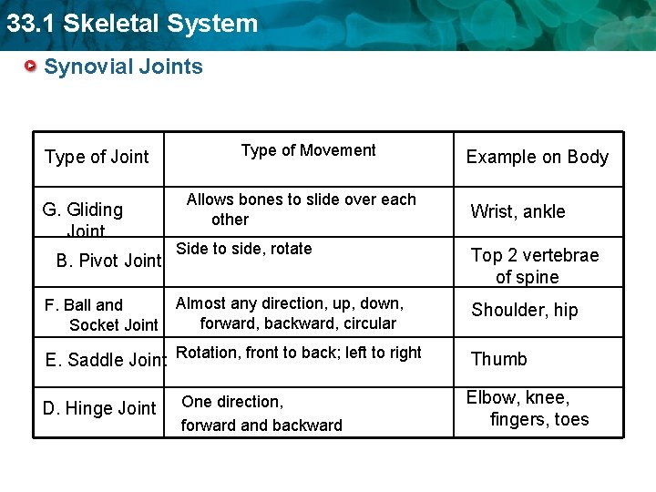 33. 1 Skeletal System Synovial Joints Type of Joint G. Gliding Joint B. Pivot